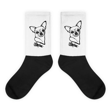 Socks Chihuahua