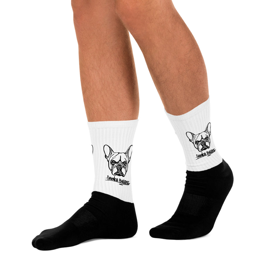 Socks French Bulldog