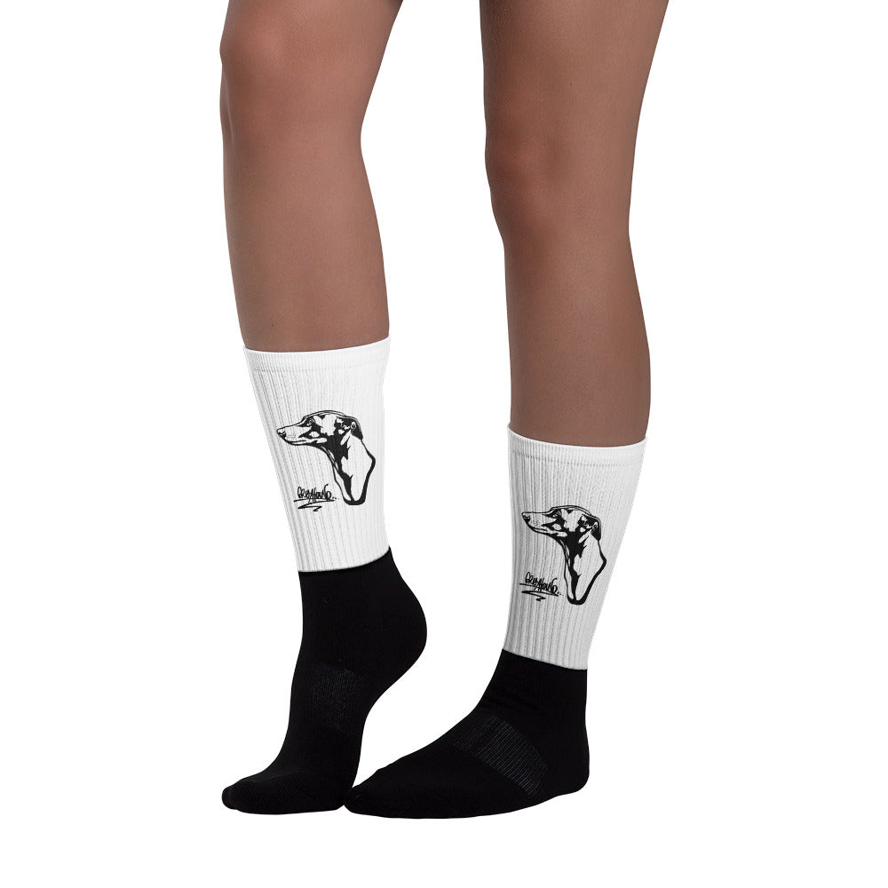 Socks Greyhound