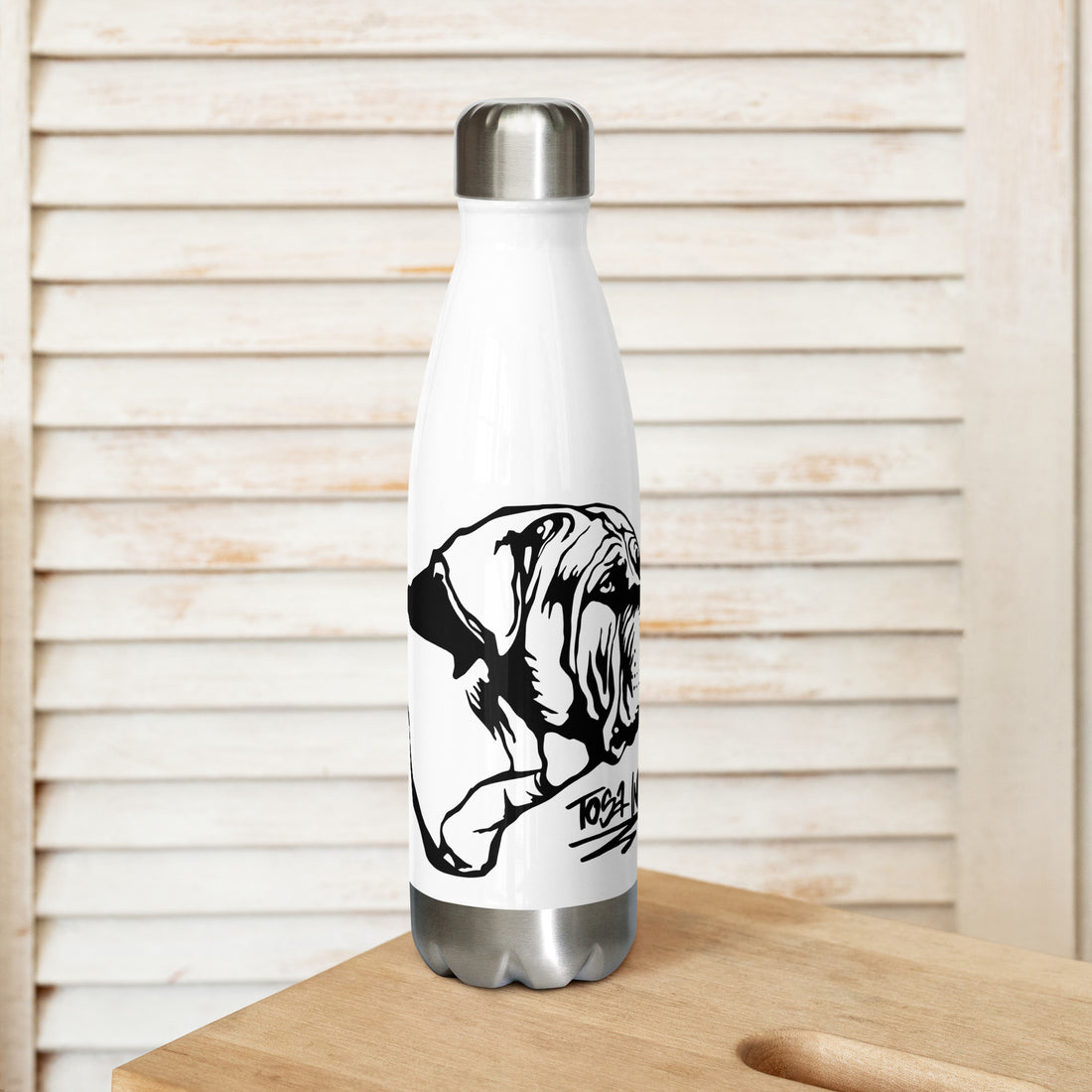 Stainless steel water bottle Tosa